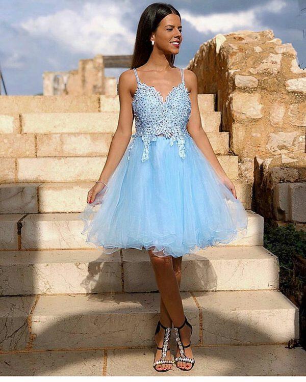 Vestido cisne