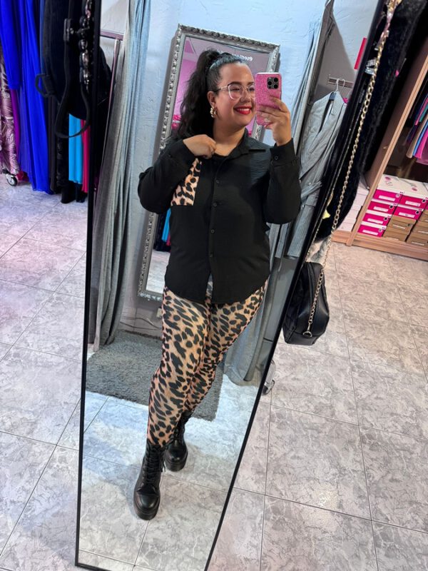 Conjunto animal